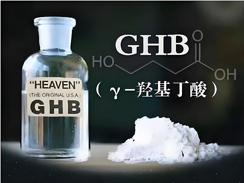 成人催药迷用品4606-bP5g型号